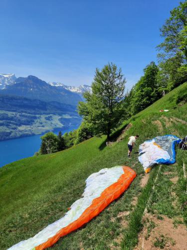 Gleitschirmflug Vierwaldstätter See