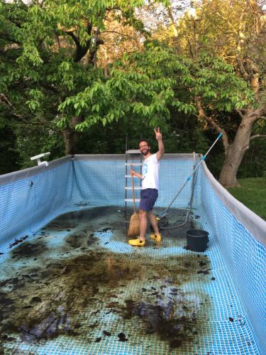 Jährliche Putzete im Pool